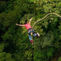 Bungee Jumping