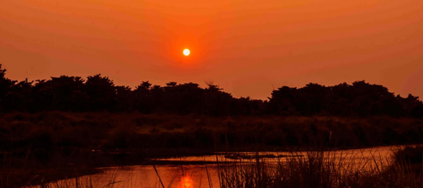 exploring-chitwan-national-park-a-unesco-heritage-site